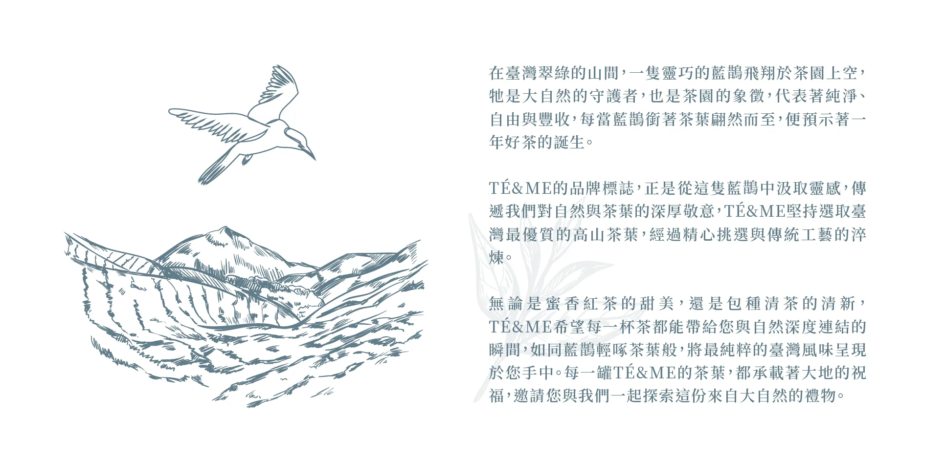 Tè & Me 台灣坪林茶, 茶包禮盒, 包種茶, 蜜香紅茶